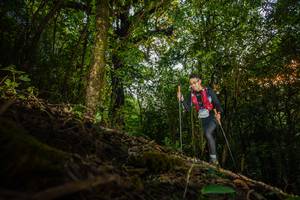 BIB: 6013
                            <button type="button" onclick="openModal(16016063)" class="btn btn-primary btn-sm float-right btn-popup" data-toggle="modal" data-target=".modal-high-quality">
                        <i class="fas fa-shopping-cart"></i> Add to Cart
                    </button>
                                            <button type="button" onclick="isThisMe(16016063, true)" class="btn btn-success btn-sm float-right btn-popup btn-isme hidden" data-toggle="tooltip" data-placement="bottom" title="นี่คือรูปของคุณใช่ไหม คลิกที่นี่เพื่อเอาเข้าอัลบั้ม">
                        <i class="fas fa-plus"></i> Add to album
                    </button>
                    <button type="button" onclick="isThisMe(16016063, false)" class="btn btn-warning btn-sm float-right btn-popup btn-isnotme hidden">
                        <i class="fas fa-ban"></i> Remove from album
                    </button>